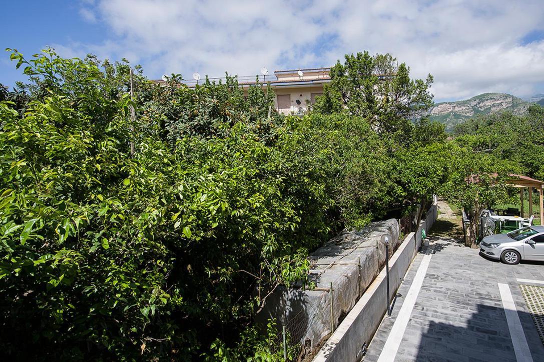Casa Aristide Bed & Breakfast Sant'Agnello Exterior photo